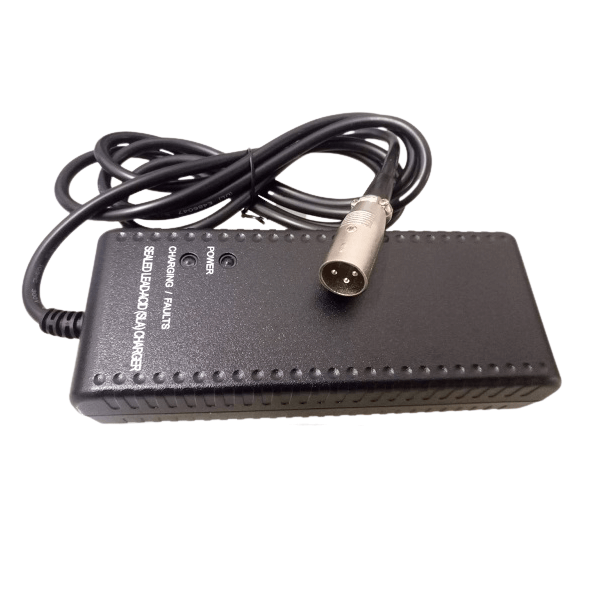 03001023 Caricabatterie per scooter ausilio per disabili