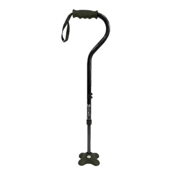 Bastipode Allmobility 2.0 ausilio per disabili