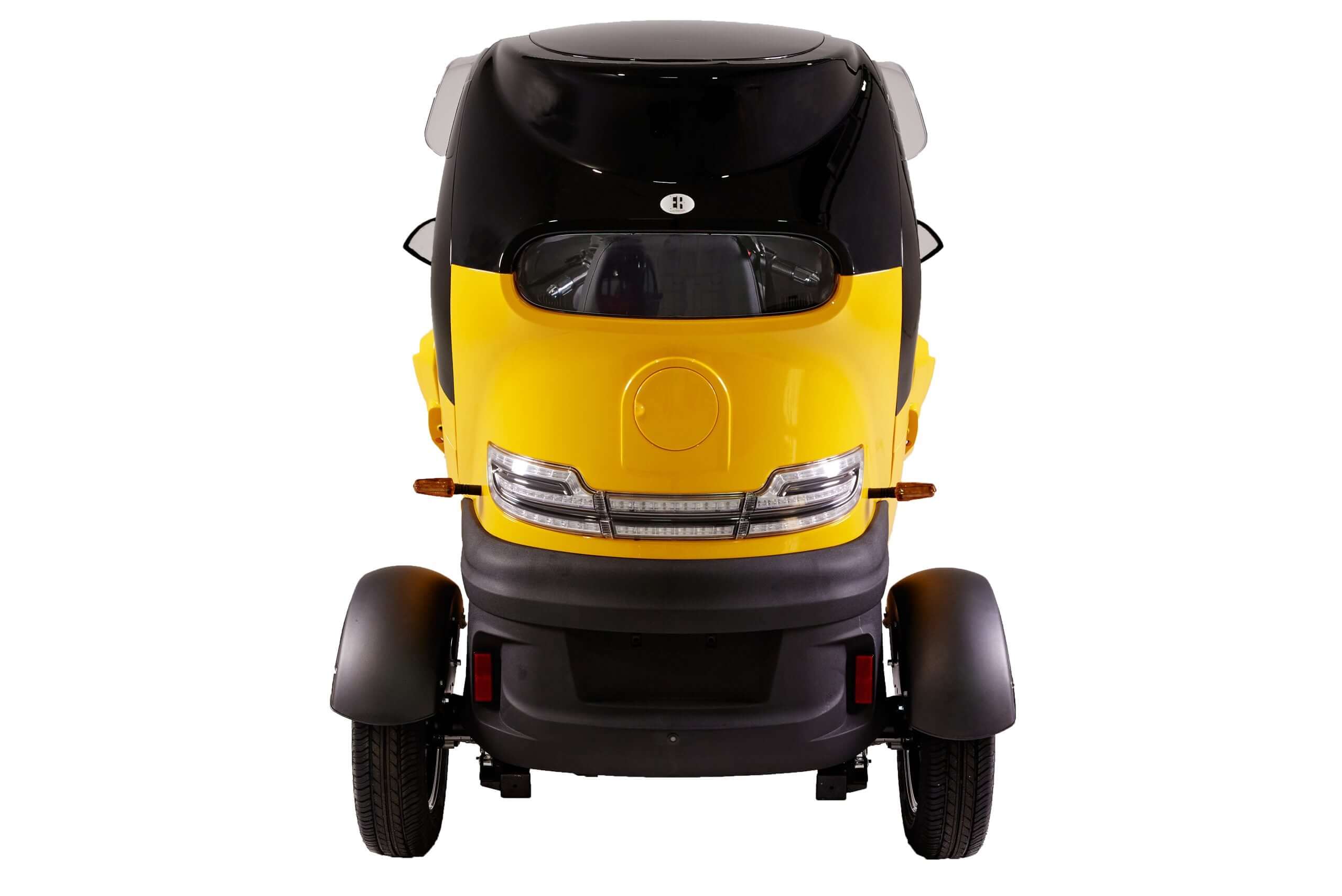 Electroride Frost - Triciclo Elettrico Compatto per Due Persone ausilio per disabili