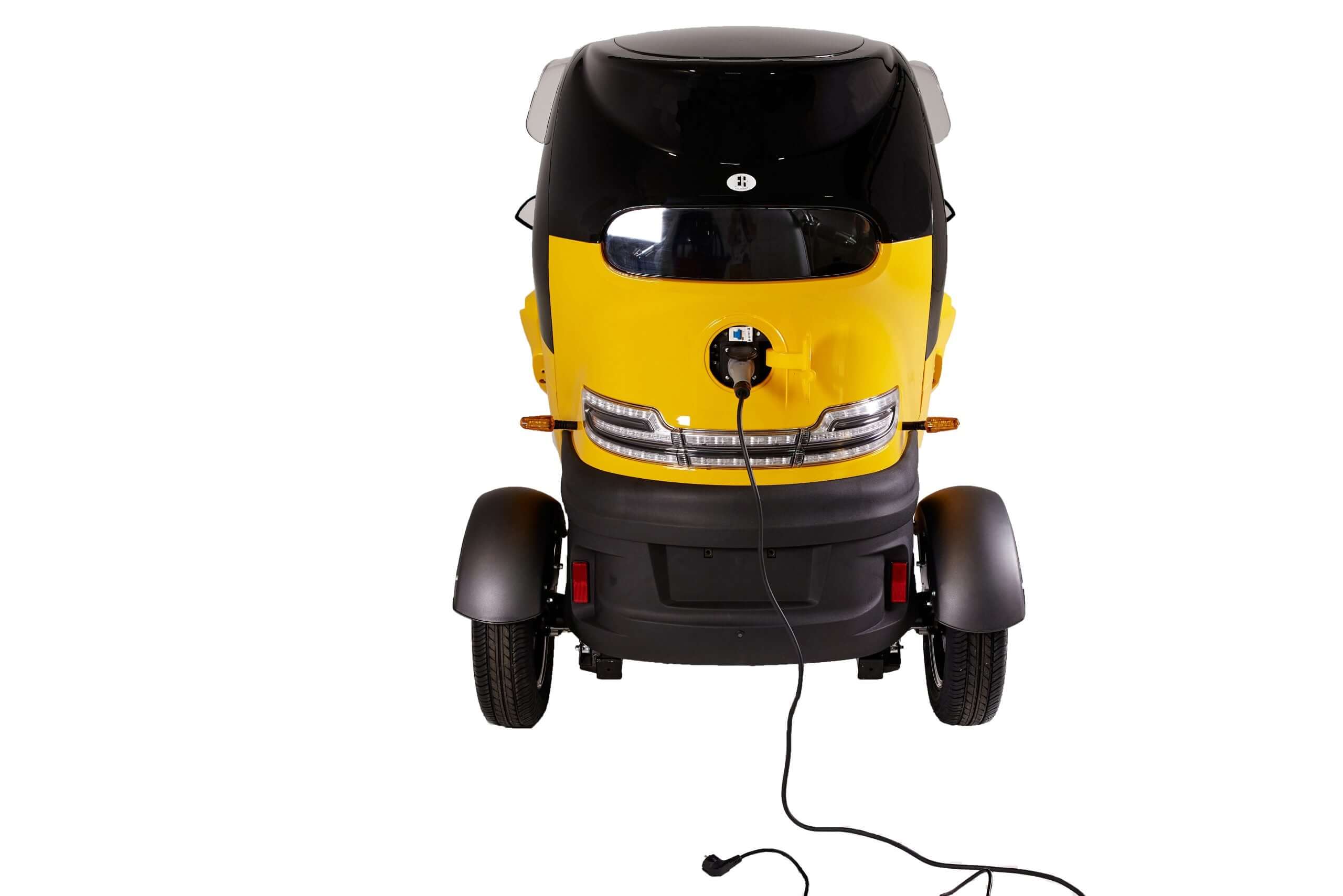 Electroride Frost - Triciclo Elettrico Compatto per Due Persone ausilio per disabili