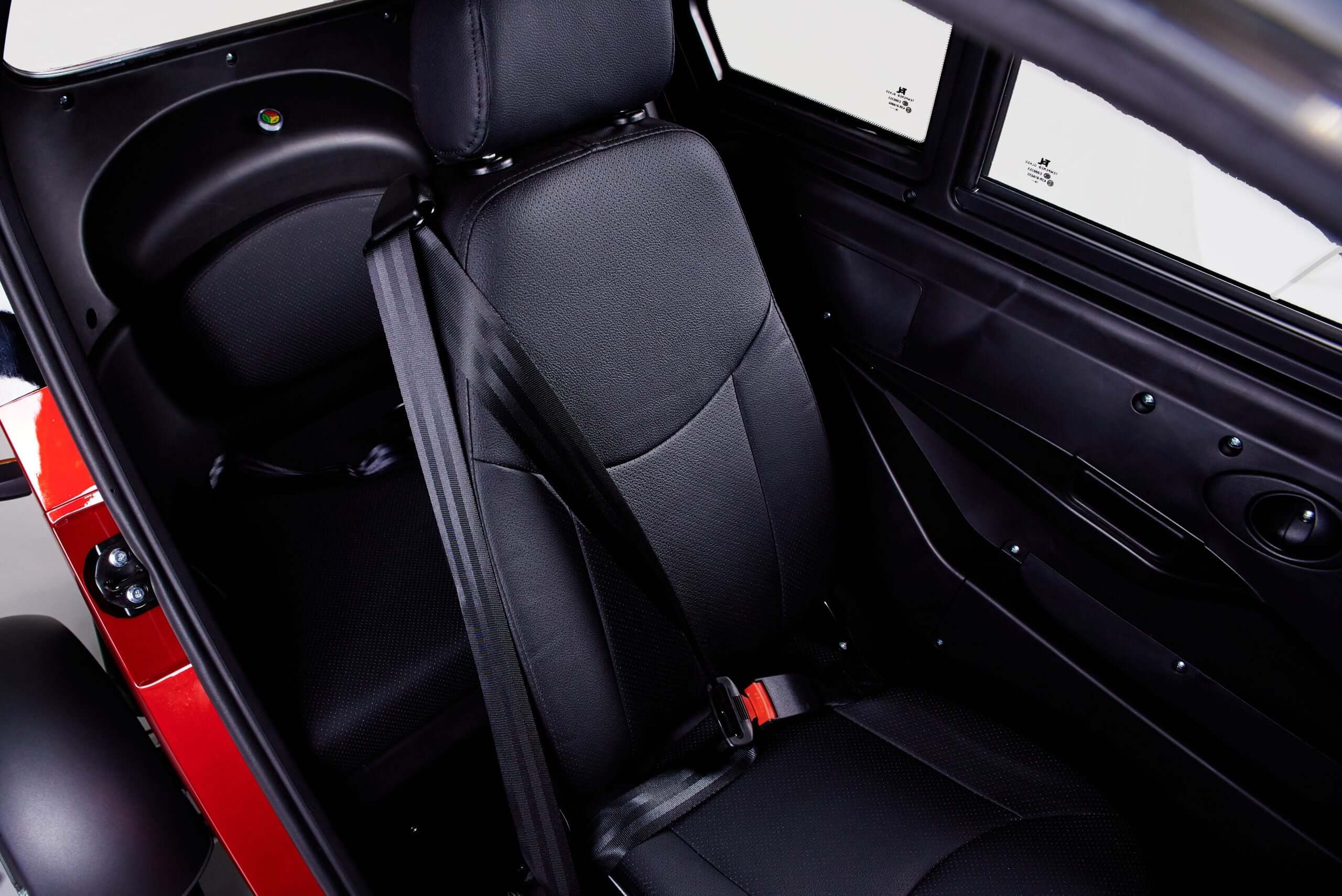 Electroride Frost - Triciclo Elettrico Compatto per Due Persone ausilio per disabili