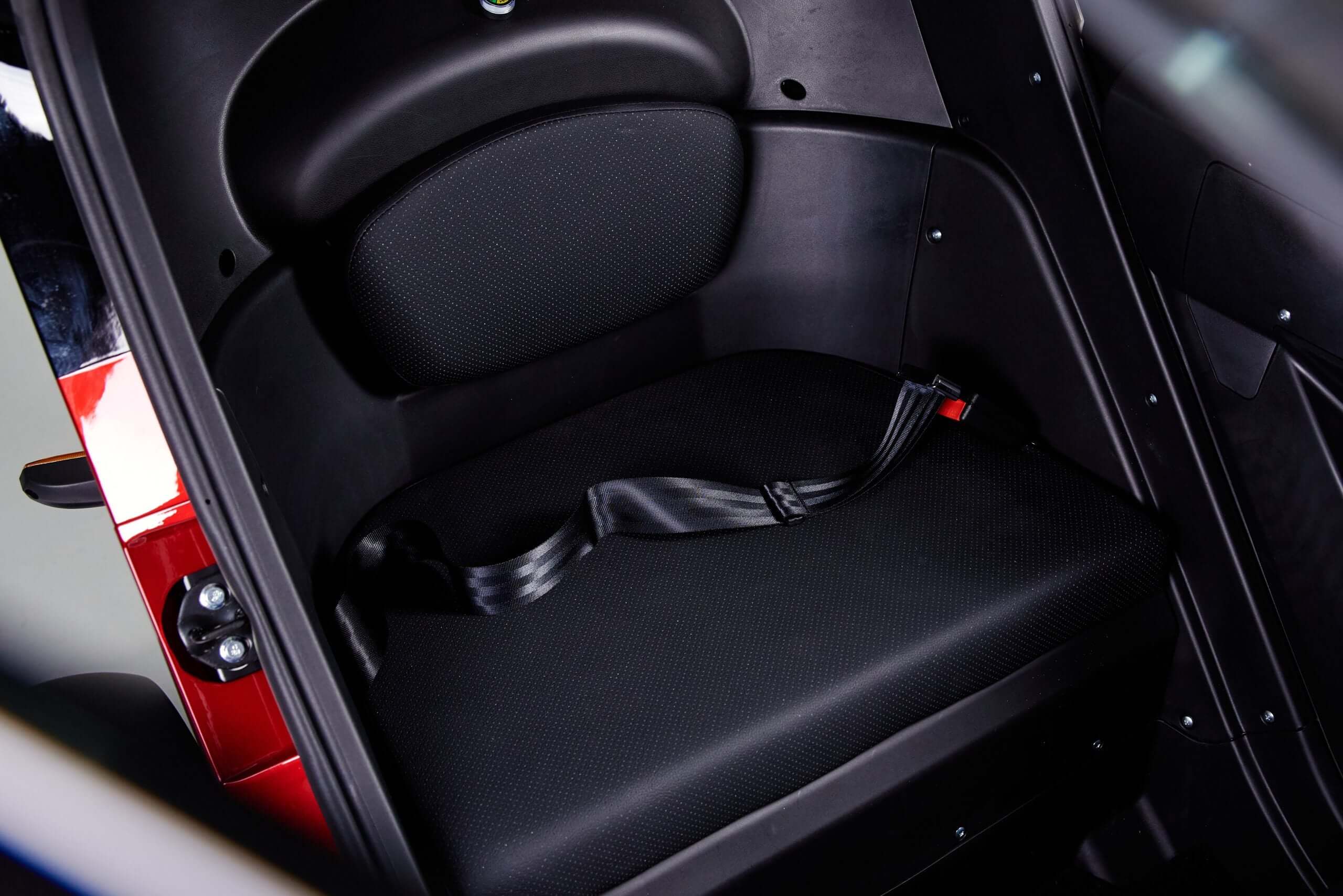 Electroride Frost - Triciclo Elettrico Compatto per Due Persone ausilio per disabili