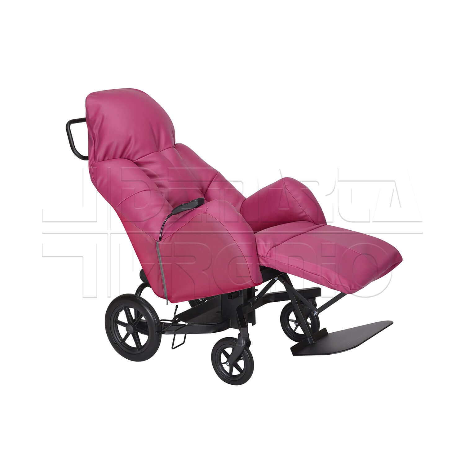 Evasion ausilio per disabili