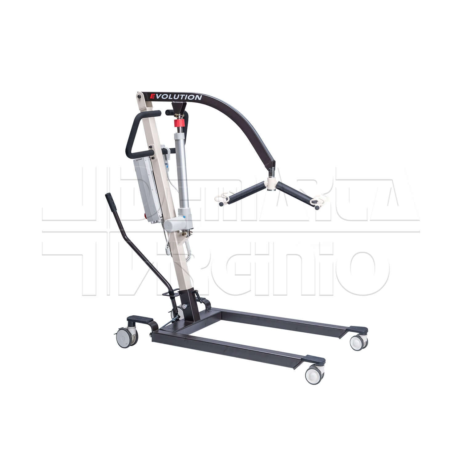 Evolution ausilio per disabili