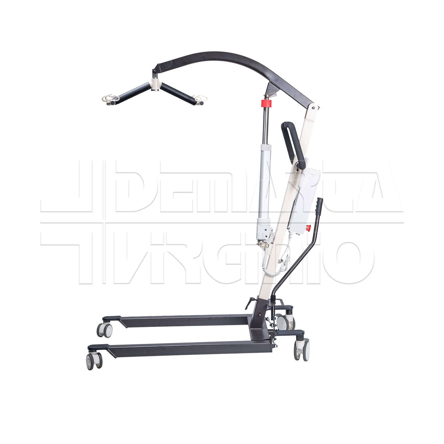 Evolution ausilio per disabili