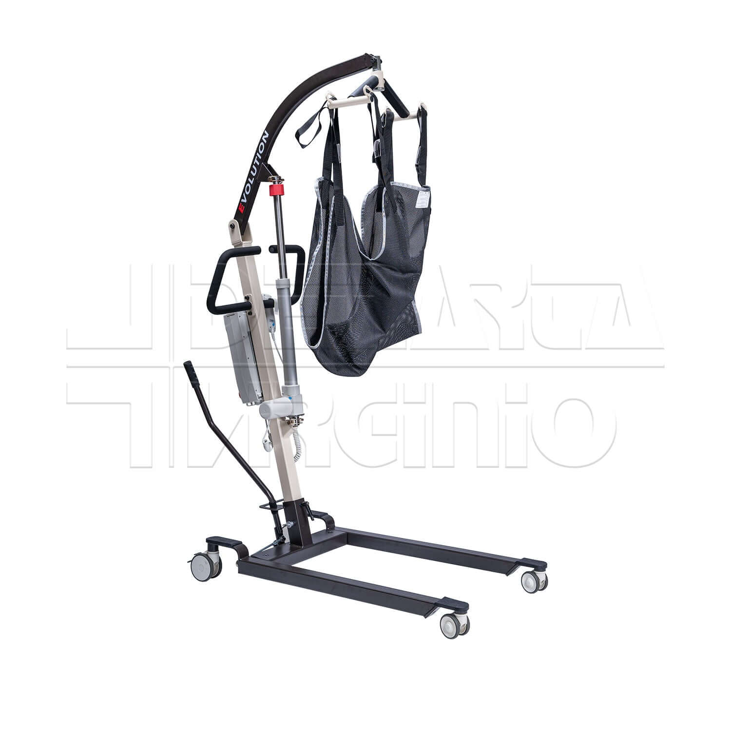 Evolution ausilio per disabili