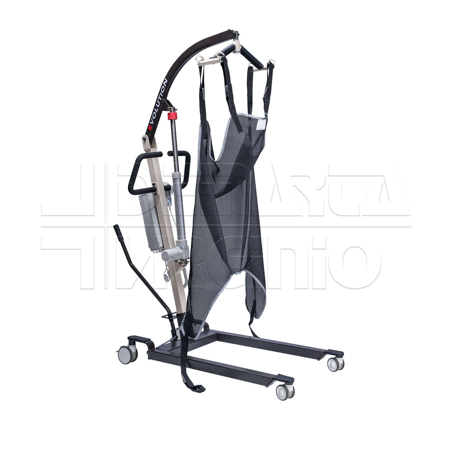 Evolution ausilio per disabili