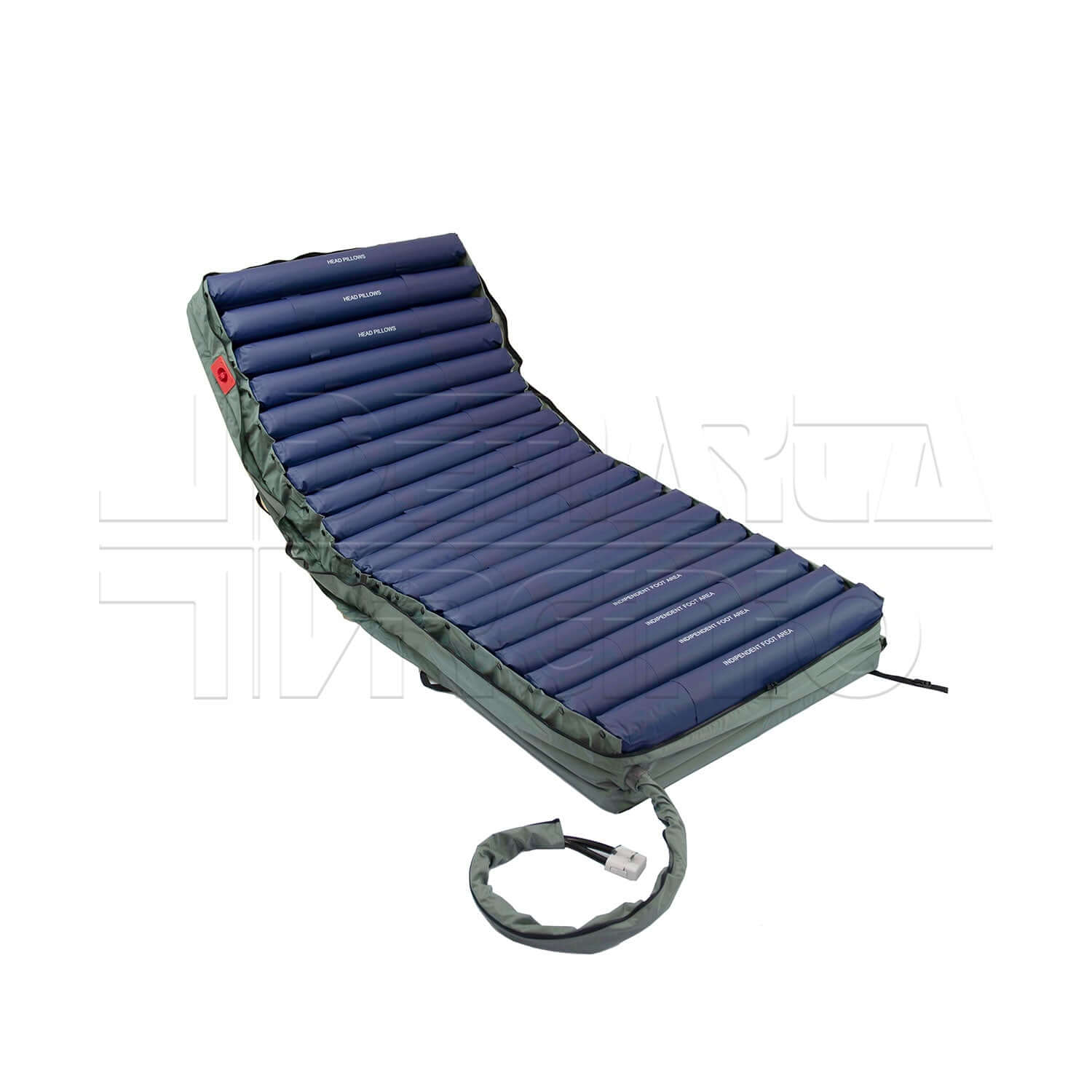 Level Care Intensive ausilio per disabili