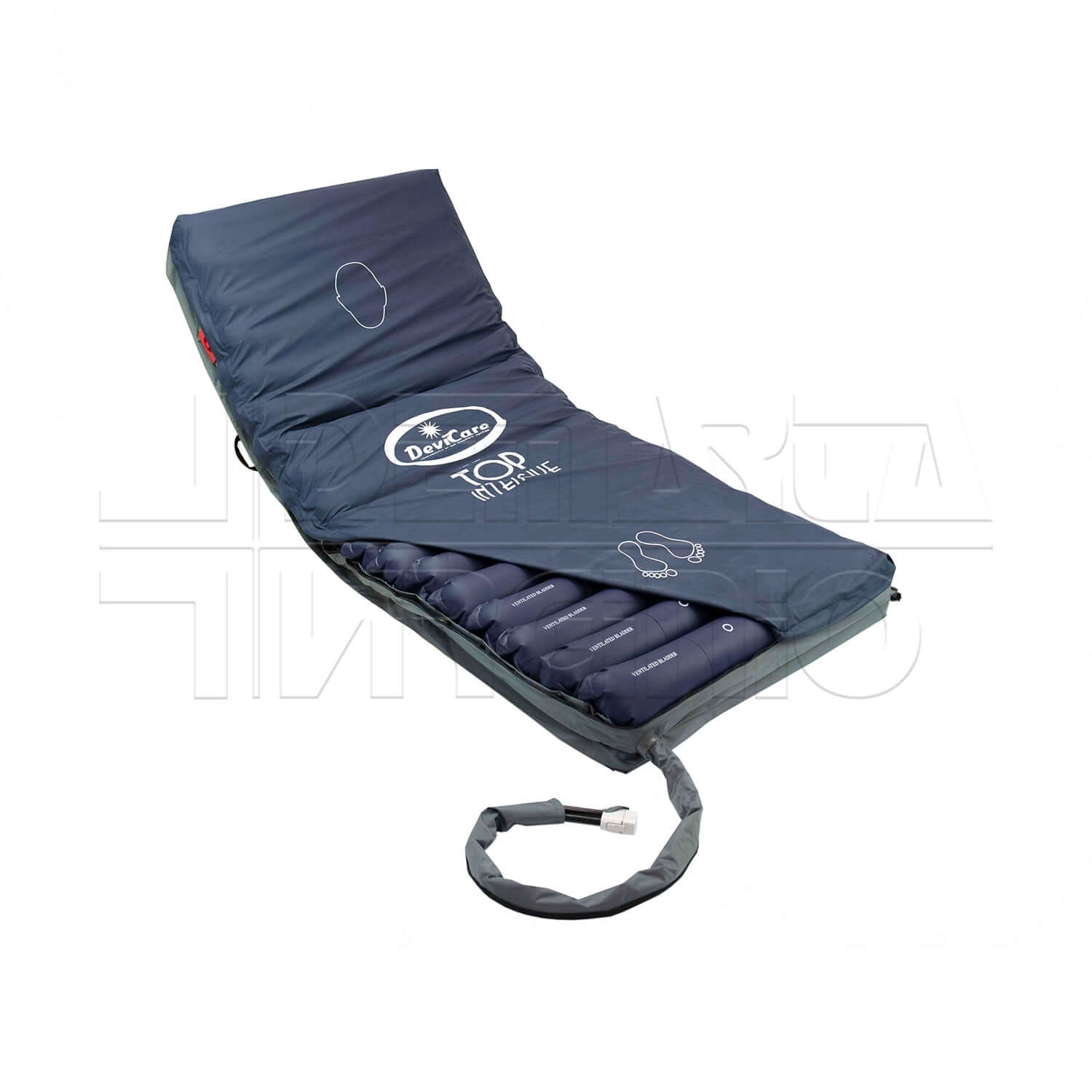 Level Top Intensive ausilio per disabili