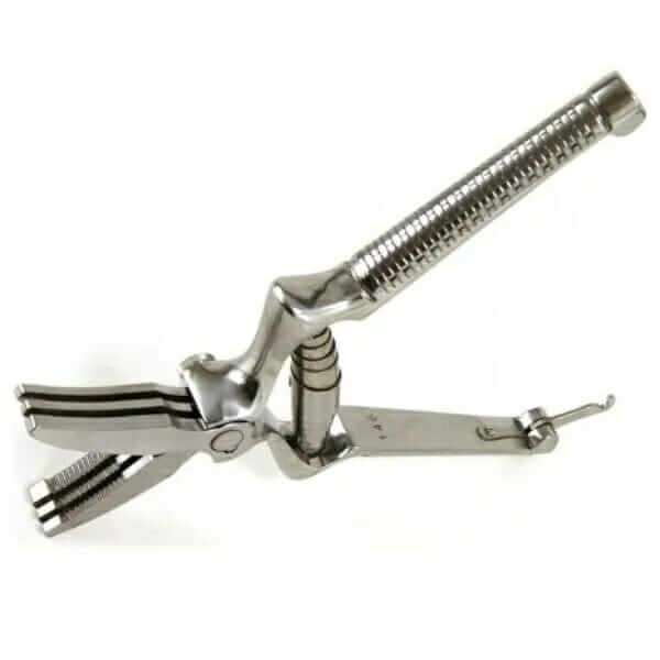 Masticatore per alimenti Allmobility ausilio per disabili