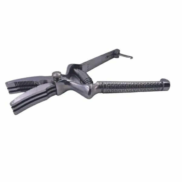 Masticatore per alimenti Allmobility ausilio per disabili