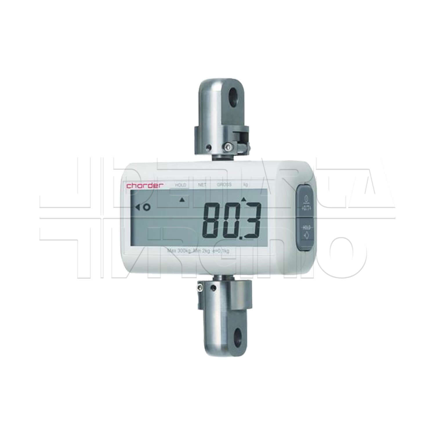 Pesa Charder ausilio per disabili