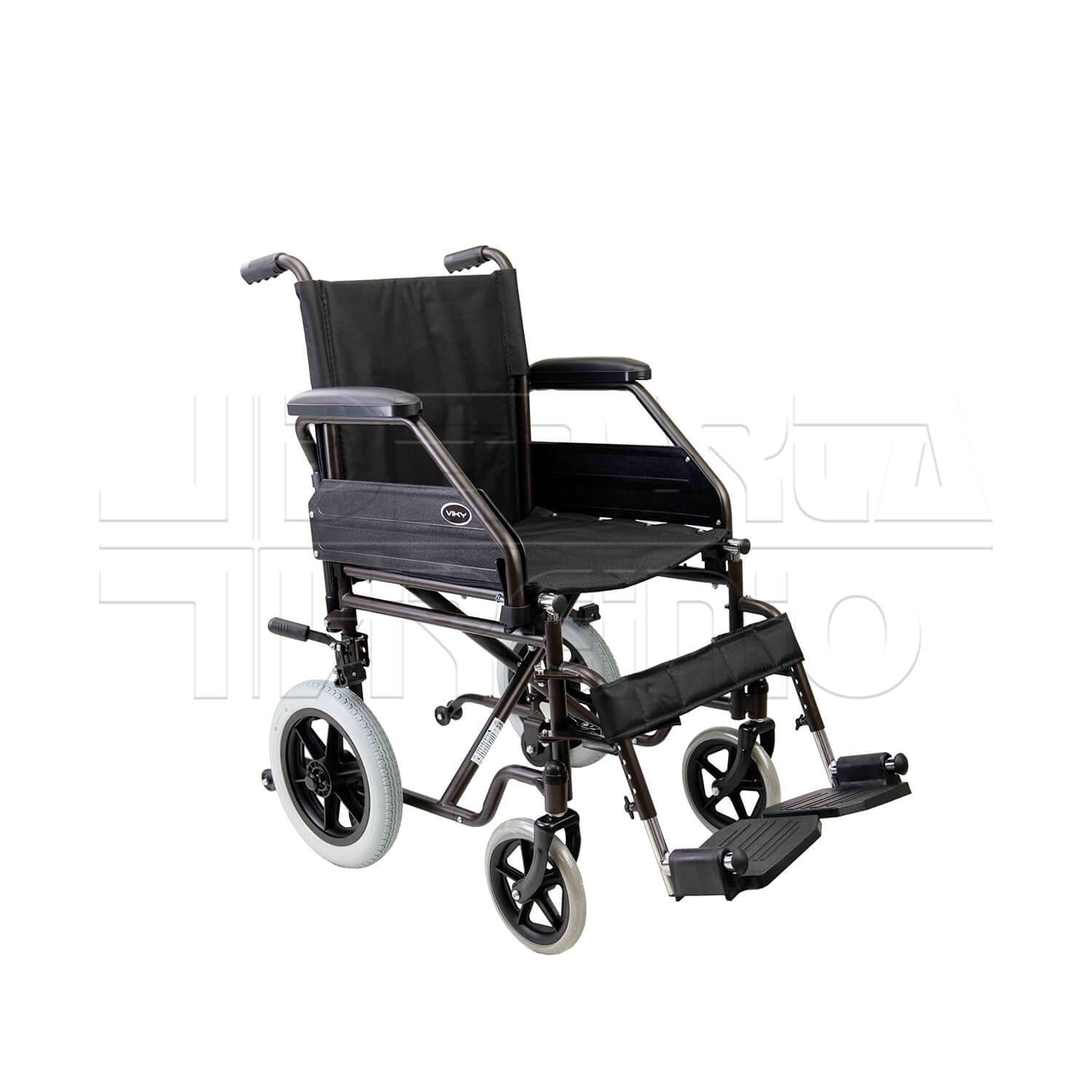 Viky Exchange ausilio per disabili