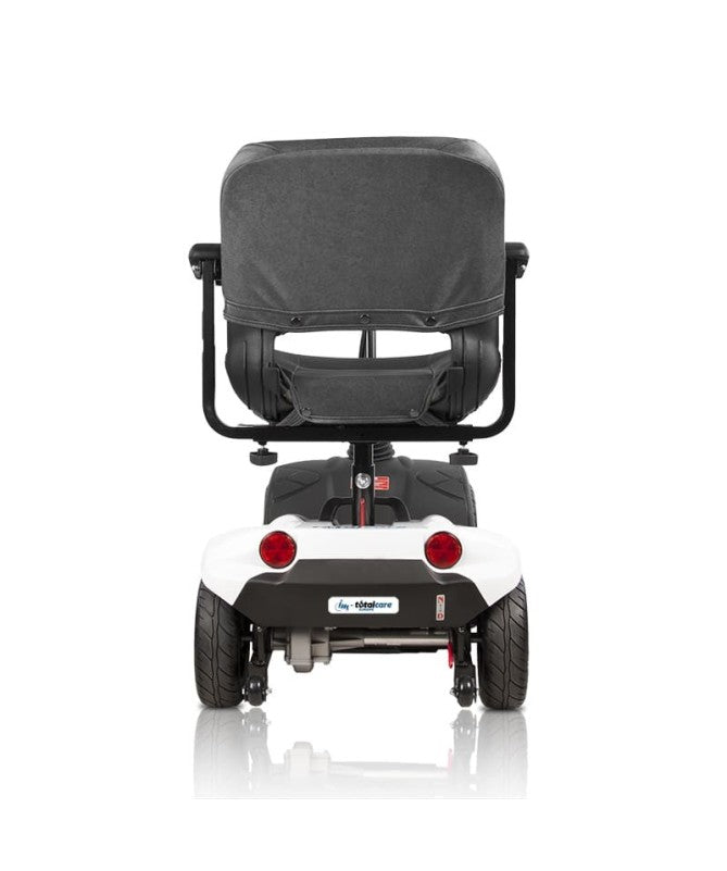 Electric Scooter Friend