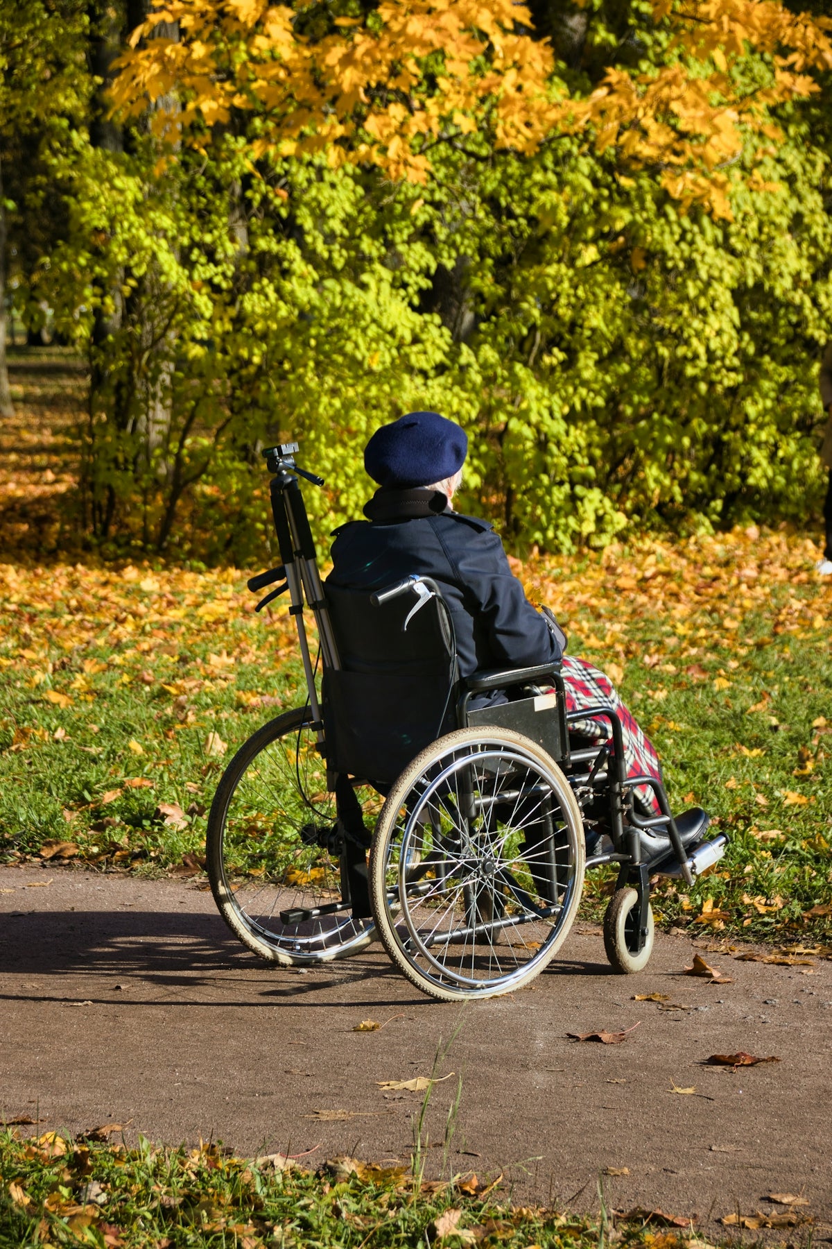 A person in a wheel chair on a path