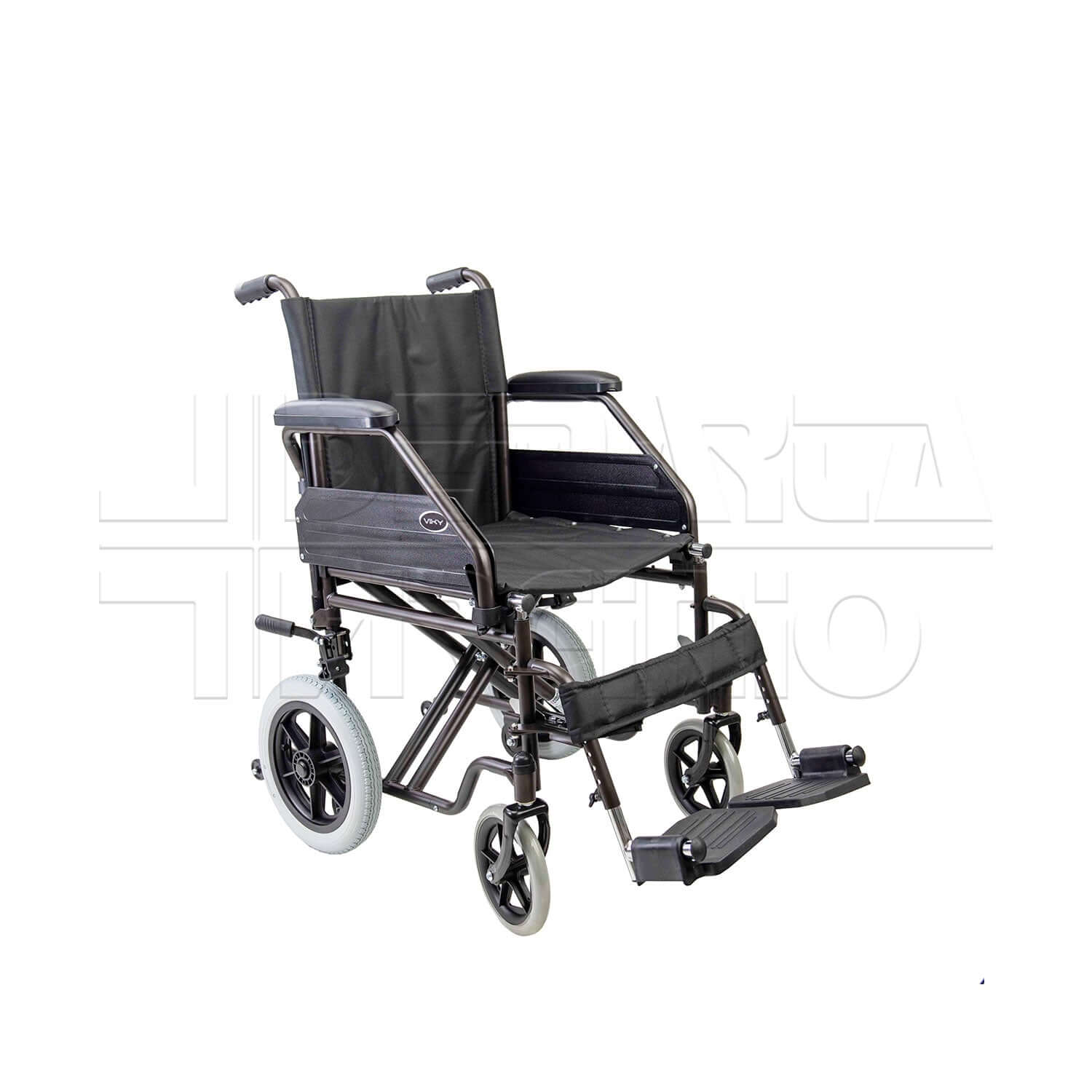 Viky Exchange Plus