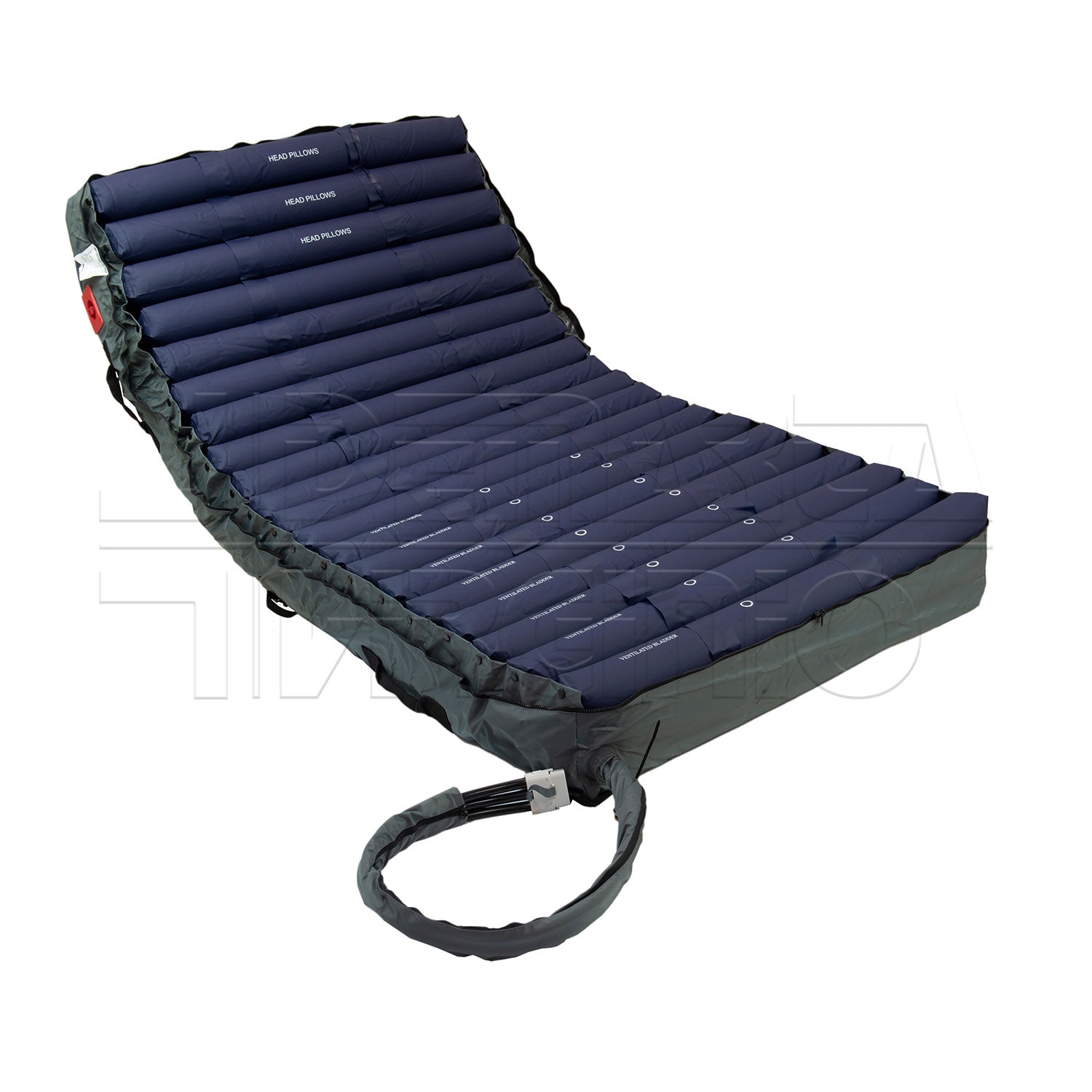 K20 Plus