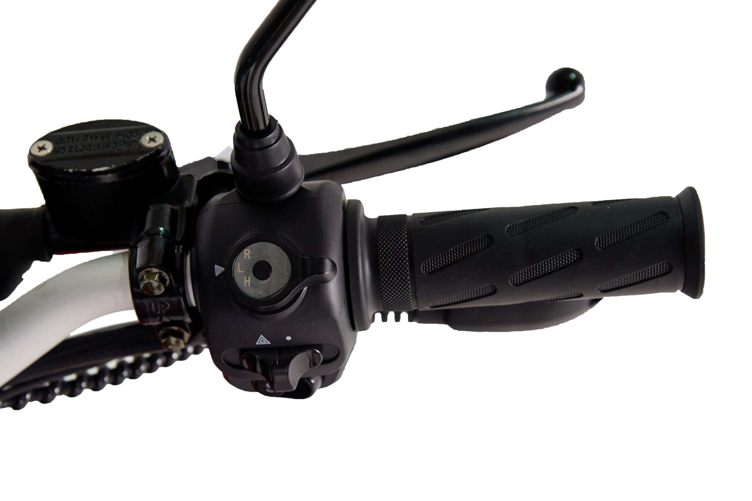 Electroride Trike - Triciclo Elettrico Sportivo per Giovani e Spiriti Dinamici ausilio per disabili