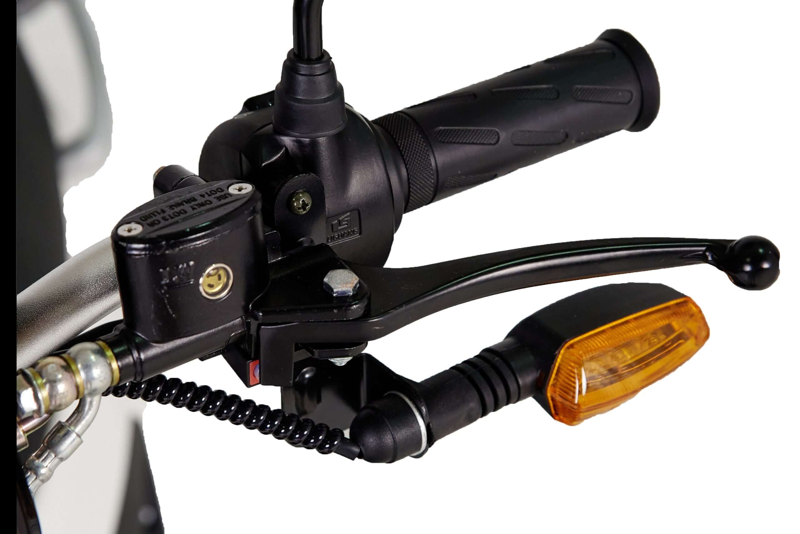 Electroride Trike - Triciclo Elettrico Sportivo per Giovani e Spiriti Dinamici ausilio per disabili