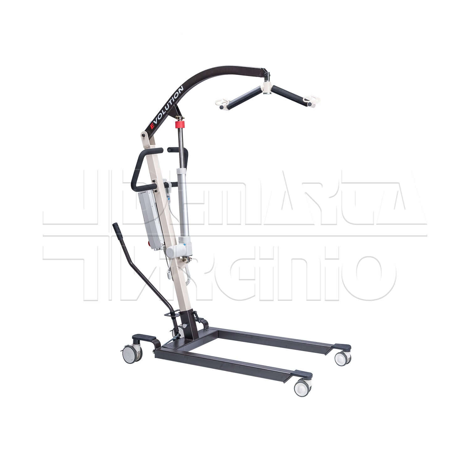 Evolution ausilio per disabili