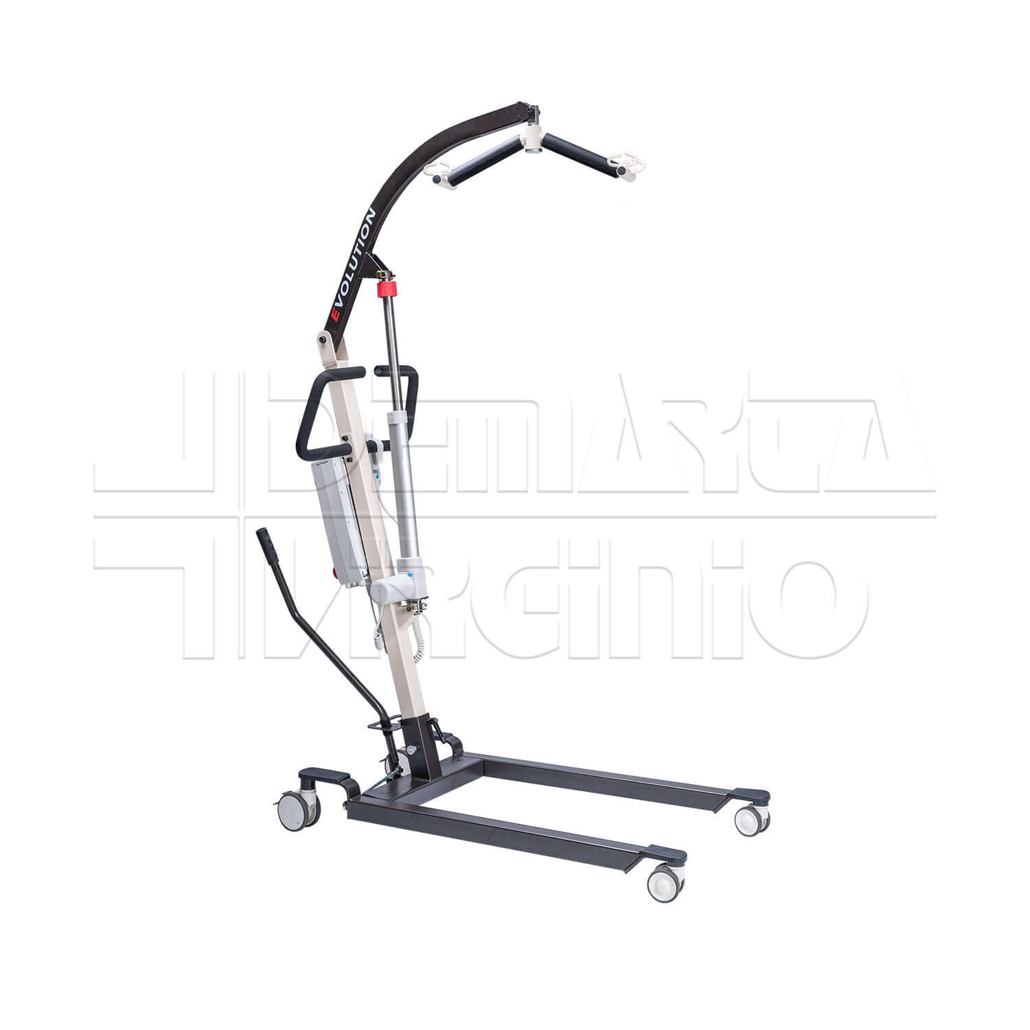 Evolution ausilio per disabili