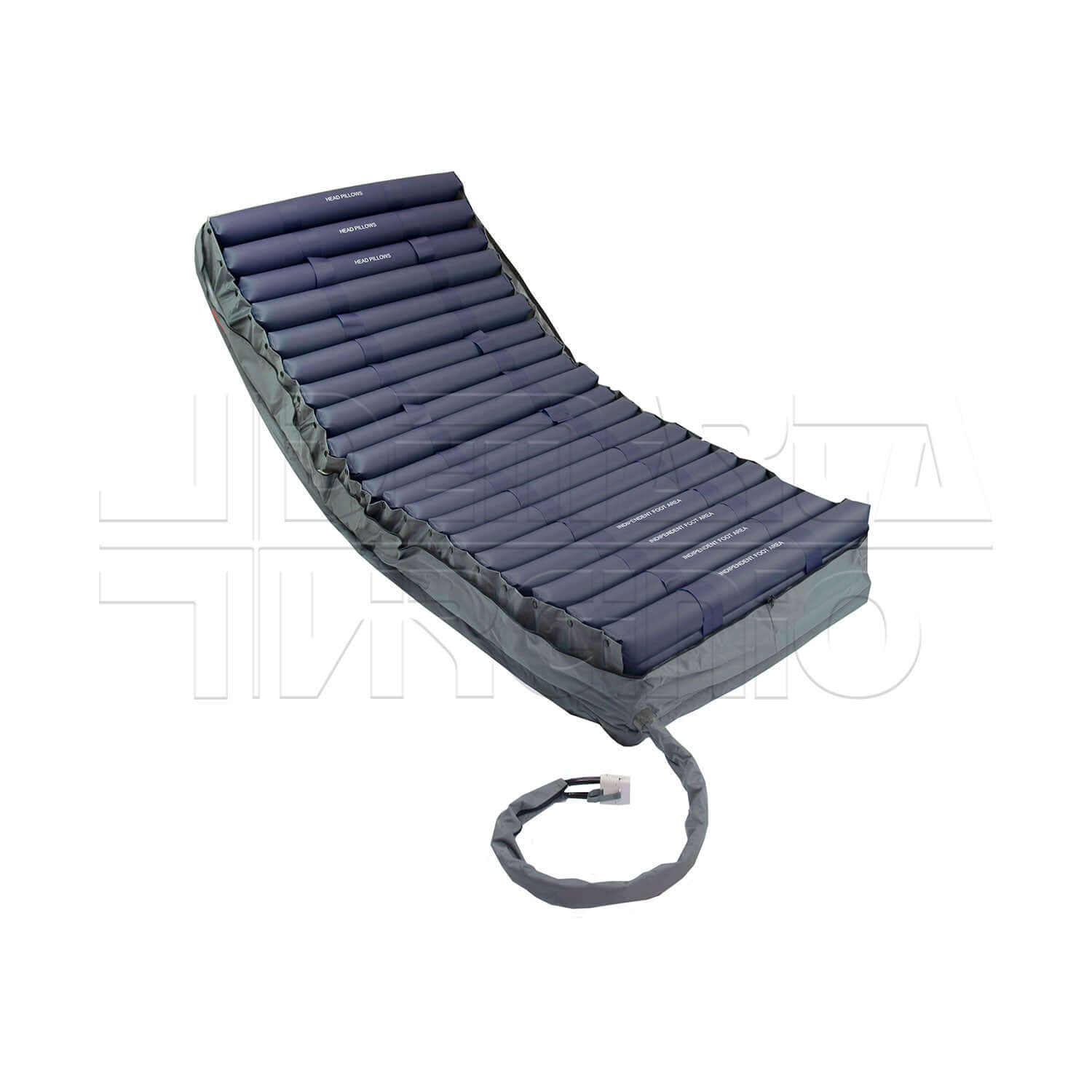 Level Pro Intensive ausilio per disabili