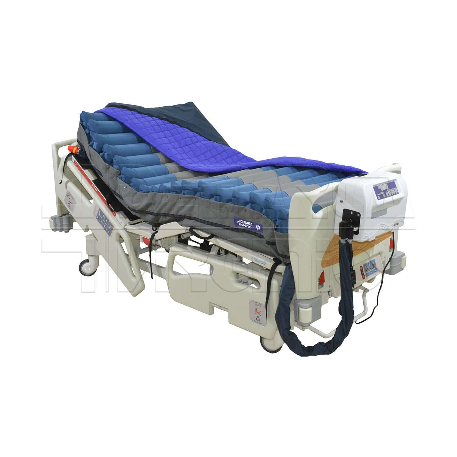 Prime ausilio per disabili