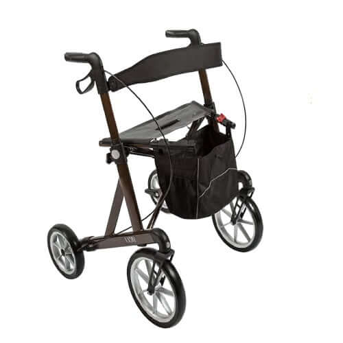 Rollator per esterno Lion Omega ausilio per disabili