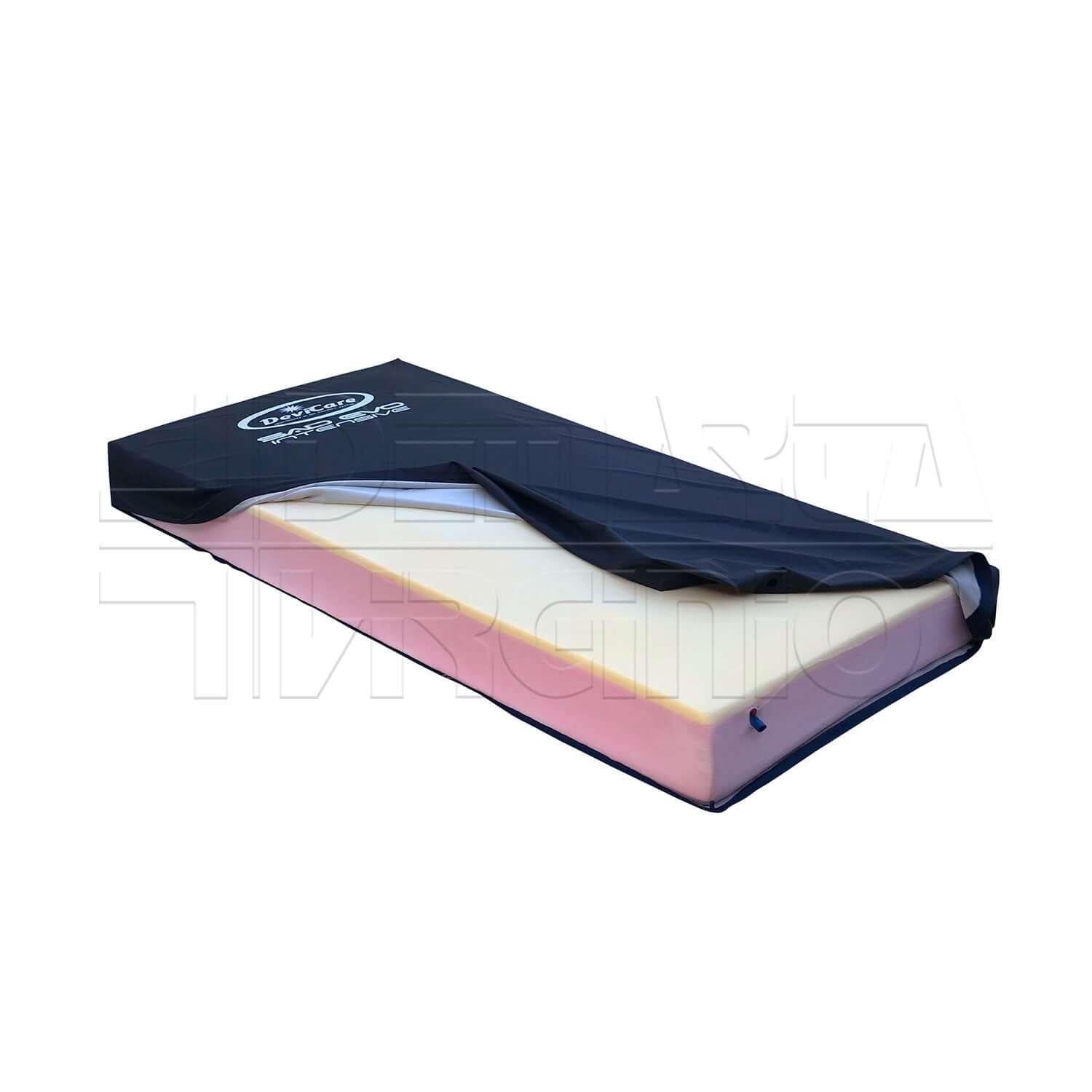 Sadevo Intensive CFA ausilio per disabili