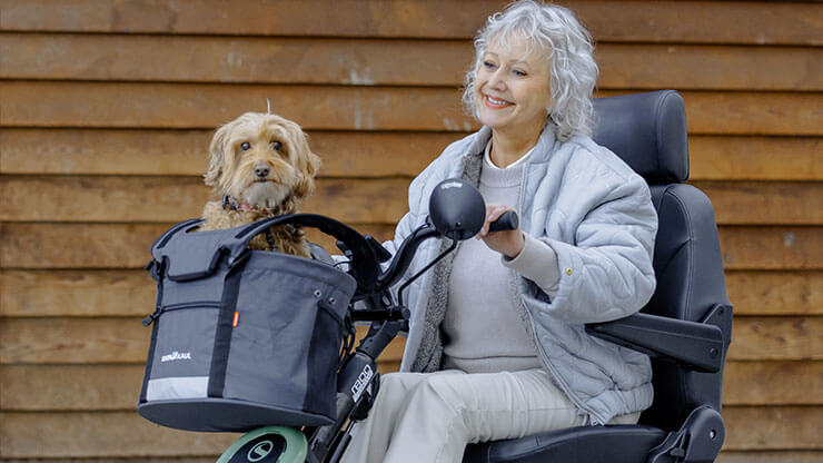 Sterling S800 by Scoozy – cestino per animali domestici